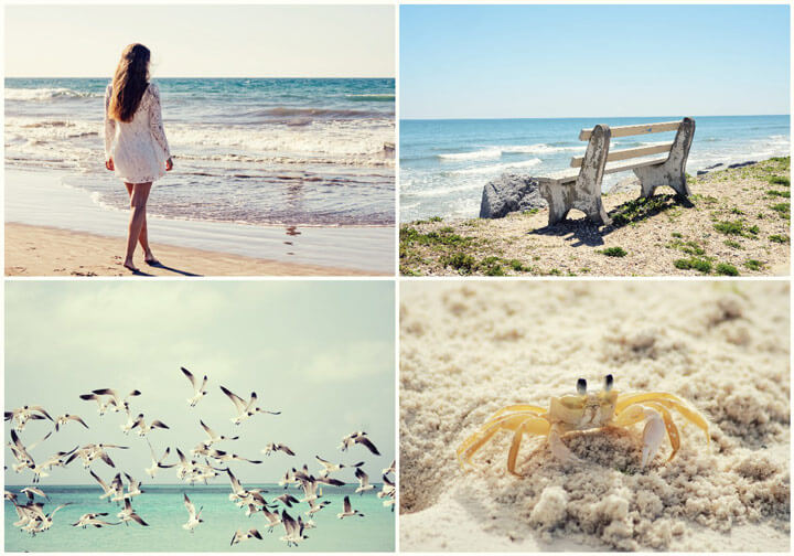 Nhà Cái Uy Tín Vn79 Cổng Game Cá Cược Đỉnh Cao Hiện Nay