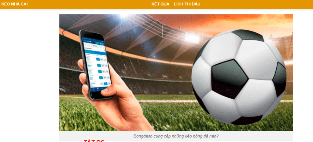 Sẽc Việt Nam Thâm Nhập Thế Giới Cá Cược Bóng Đá Trực Tuyến Khám Phá, Phân Tích Và Chiến Lược