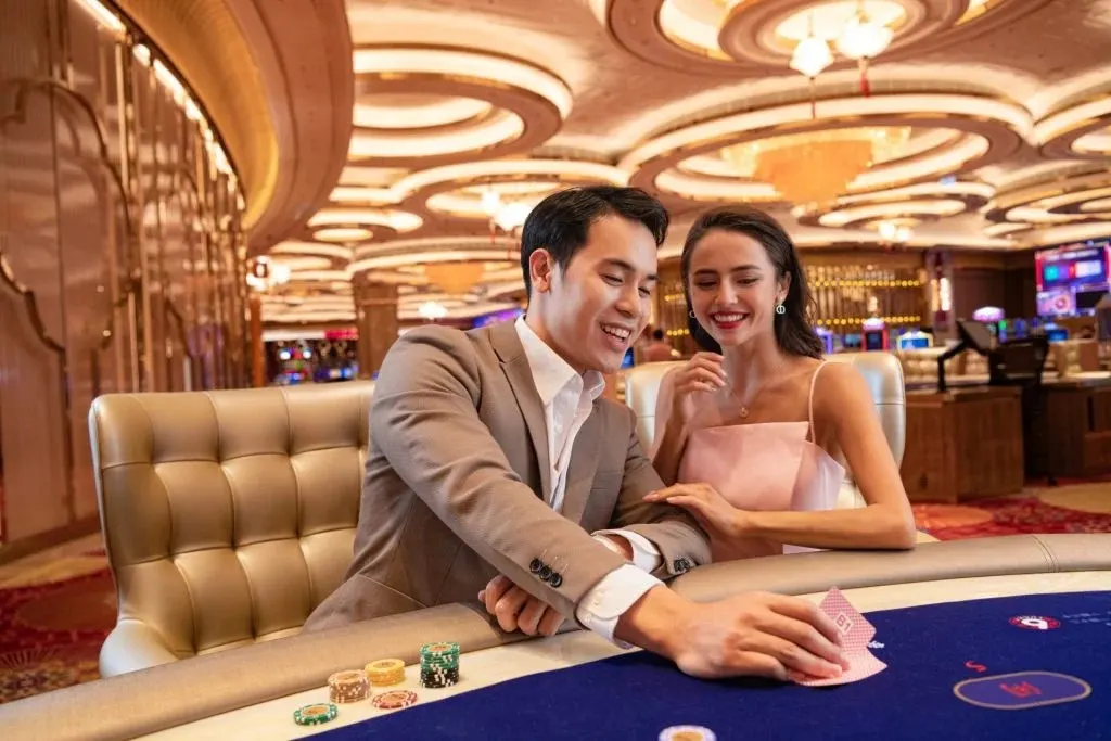 Khám Phá Thế Giới Độc Đáo Của Mogi Giá Đất Hướng Dẫn Chi Tiết Về Thành Phần, Lịch Sử Và Ảnh Hưởng Đến Cộng Đồng