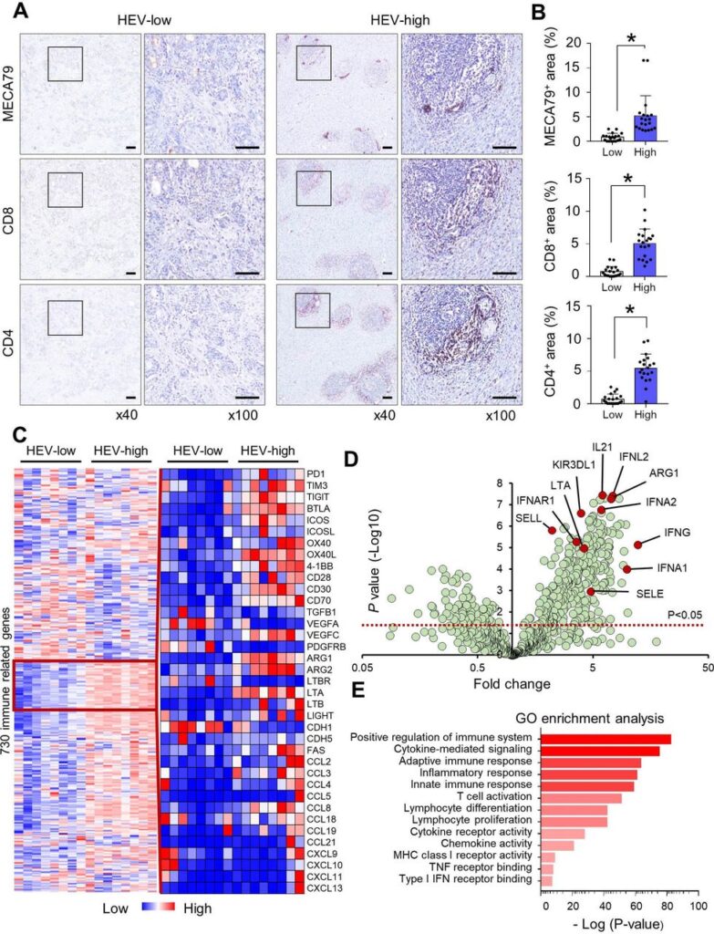 Review Hòn Tằm Khám Phá Thế Giới Giải Trí Trực Tuyến Đa Dạng Tiện Lợi An Toàn