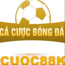 Bán Đất Khu Đô Thị Hoà Xuân Khám Phá Thế Giới Cá Cược Thú Vị Chỉ Dành Cho Bạn