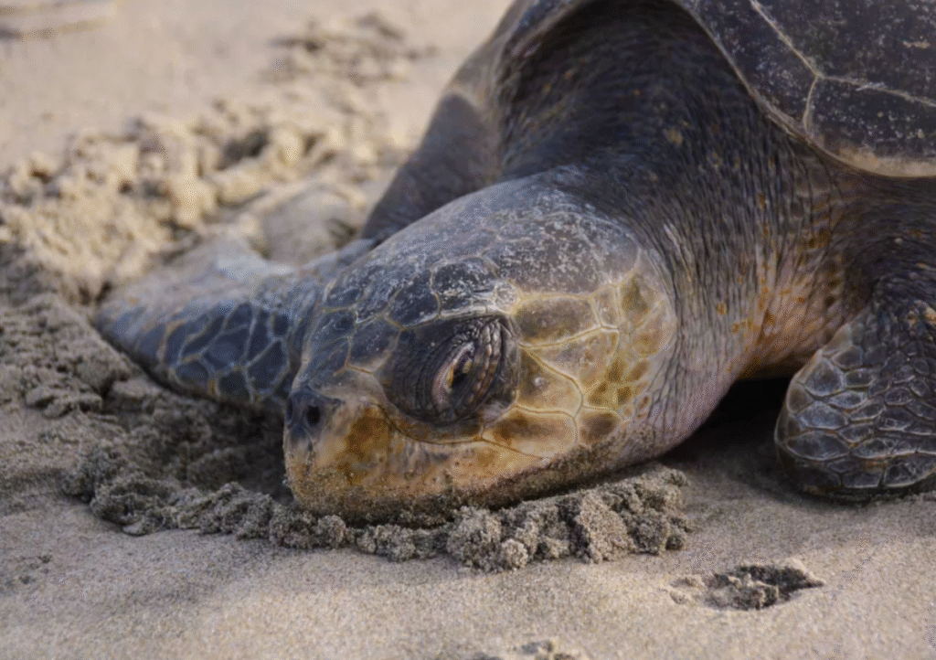 Khám Phá Thế Giới Giải Trí Trực Tuyến Tại Https Good88.Ru.Com Cơ Hội Trúng Thưởng Khổng Lồ!