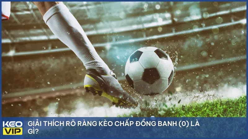 Bật Mí Bí Quyết Thành Công Từ Https Tylekeovip.Ac Nắm Bắt Xu Hướng Kiếm Tiền Online