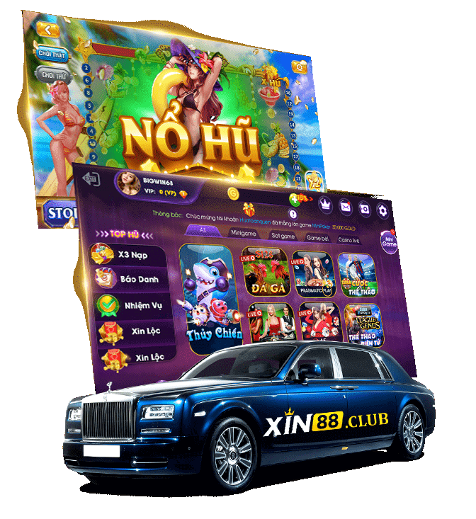 Tận Hưởng Lồn Lông – Nền Tảng Cá Cược Hàng Đầu