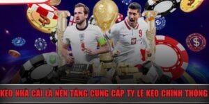 Khám Phá Batdongsan Com Vn Da Nang Bí Quyết Chiến Thắng Trong Cá Cược