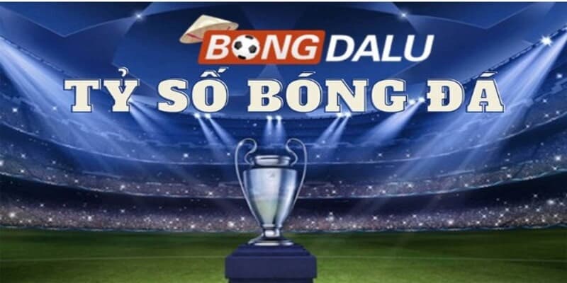Xnxx Co Trang Dữ Liệu 66 Cổng Thông Tin Hàng Đầu Cho Tín Đồ Yêu Bóng Đá Và Cá Cược Trực Tuyến